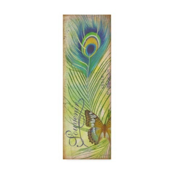 Trademark Fine Art Jean Plout 'Peacock Feather Souvenir' Canvas Art, 6x19 ALI30107-C619GG